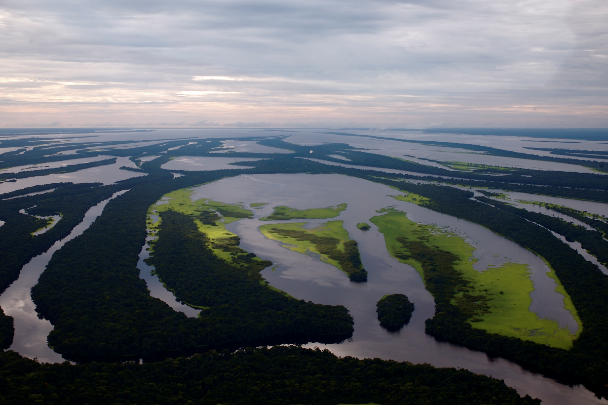 Parque Nacional Anavilhanas com arquipélago fluvial