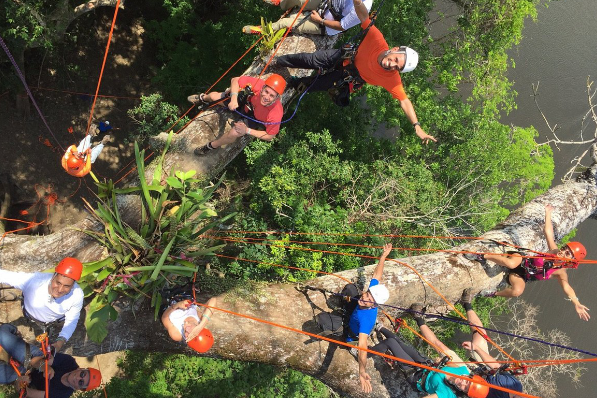 Escalada e Aventura na Árvore com tirolesa