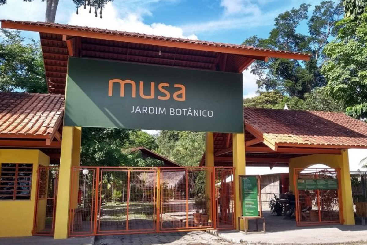MUSA Museu da Amazônia com torre de observação